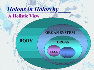 Holons in Holarchy