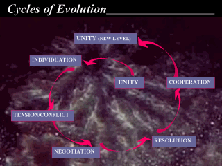 Cycles of Evolution