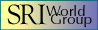 SRI World Group web development services
